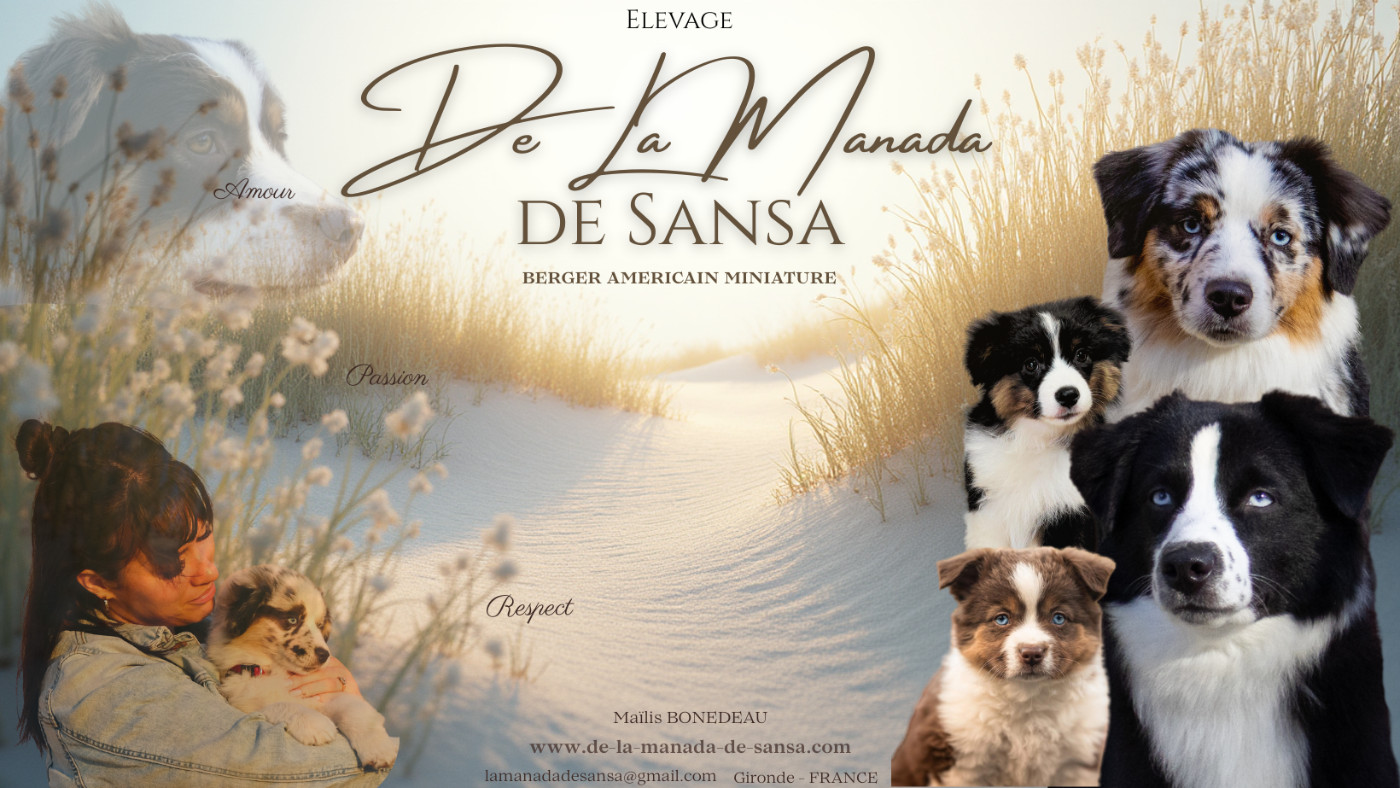 De La Manada De Sansa